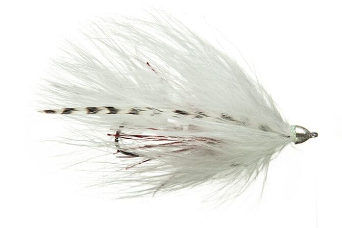 Galloup's Conehead T & A Leech Fly