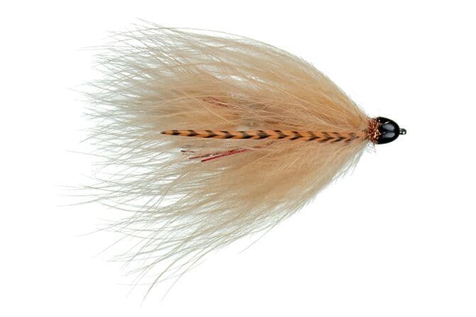 Galloup's Conehead T & A Leech Fly