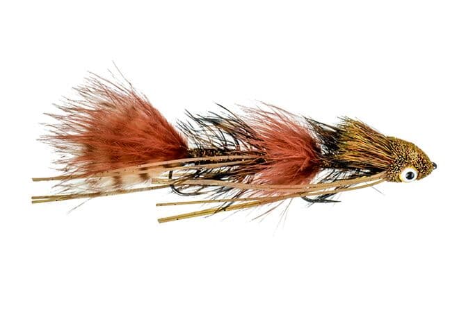 Galloup's Sex Dungeon Fly