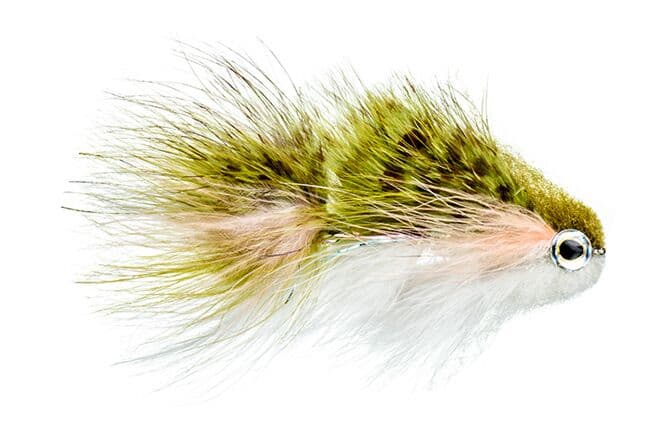 Galloup's T & A Bunker Fly