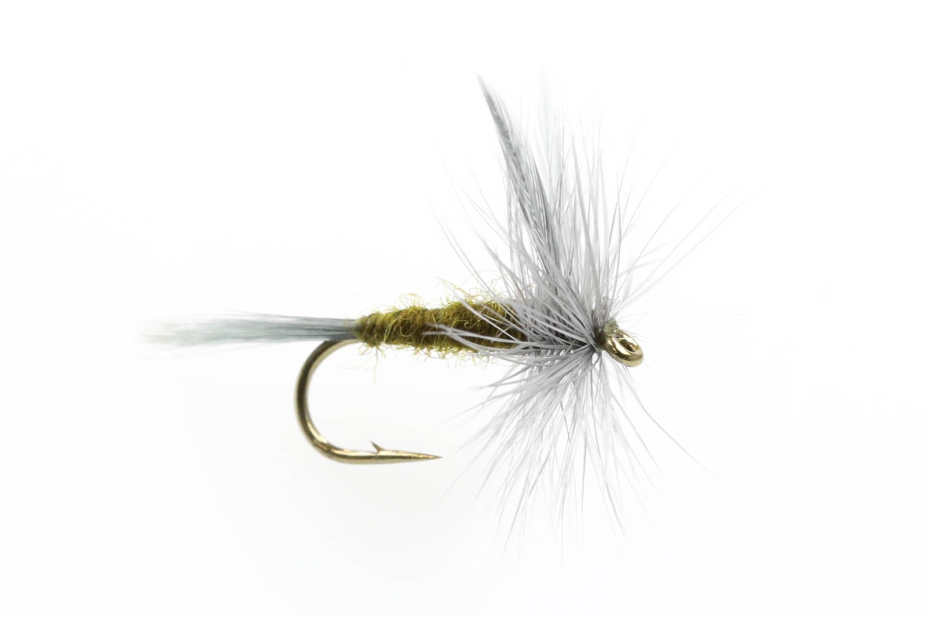 Traditional BWO Dry Fly