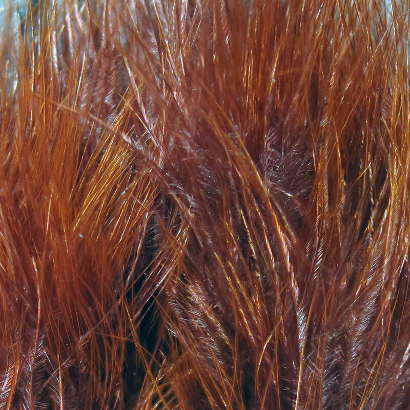 Hareline Strung Marabou Blood Quills