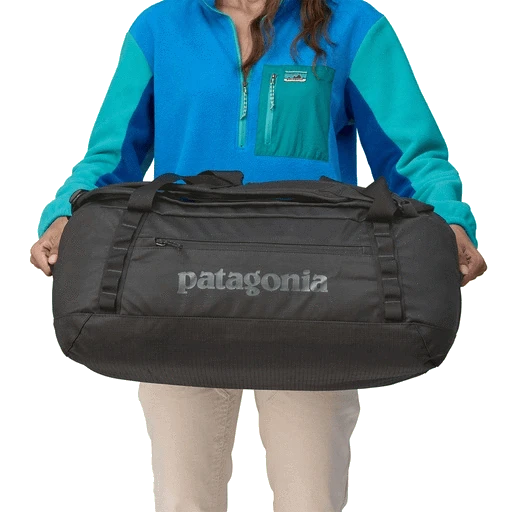 Patagonia Black Hole Duffel Bag (Past Season Style)