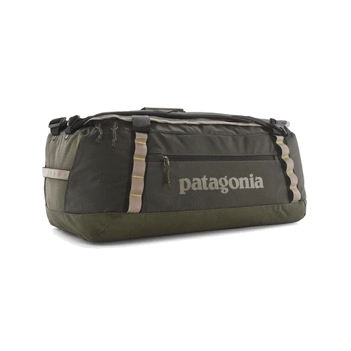 Patagonia Black Hole Duffel Bag (Past Season Style)