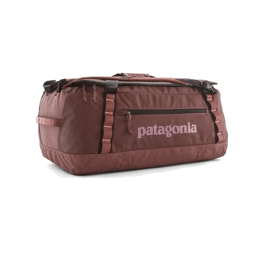 Patagonia Black Hole Duffel Bag (Past Season Style)