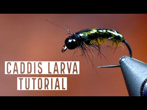 Product video from Trident Fly Fishing