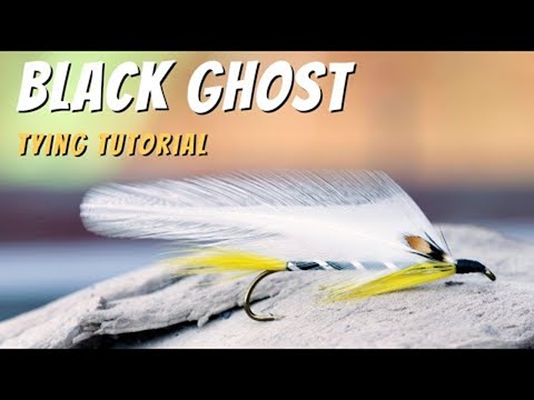 Product video from Trident Fly Fishing