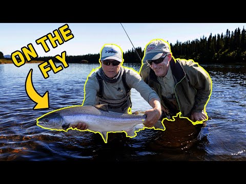 Product video from Trident Fly Fishing