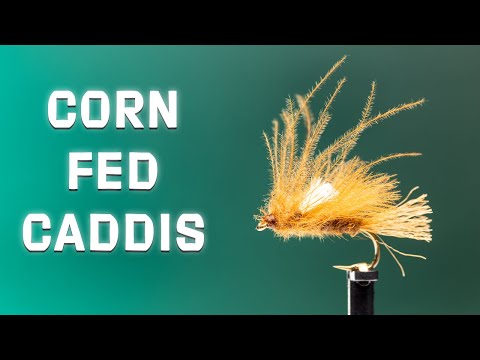 Product video from Trident Fly Fishing