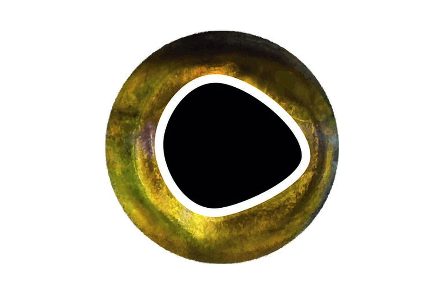 Pro Sportfisher Cool Eyes