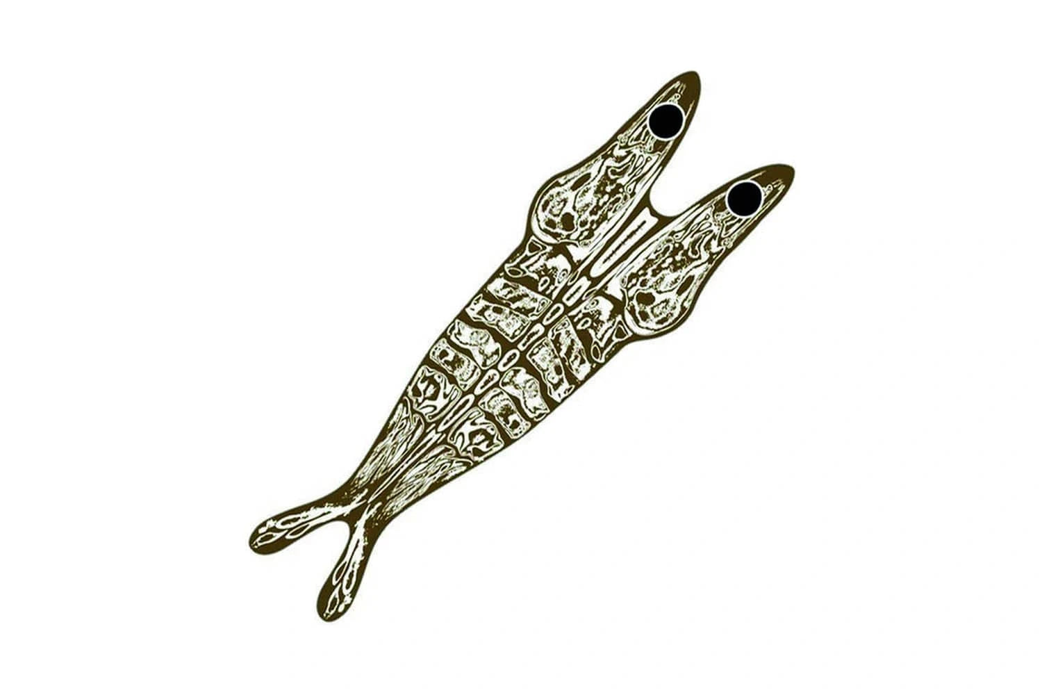 Pro Sportfisher Shrimp Shell Skeletor