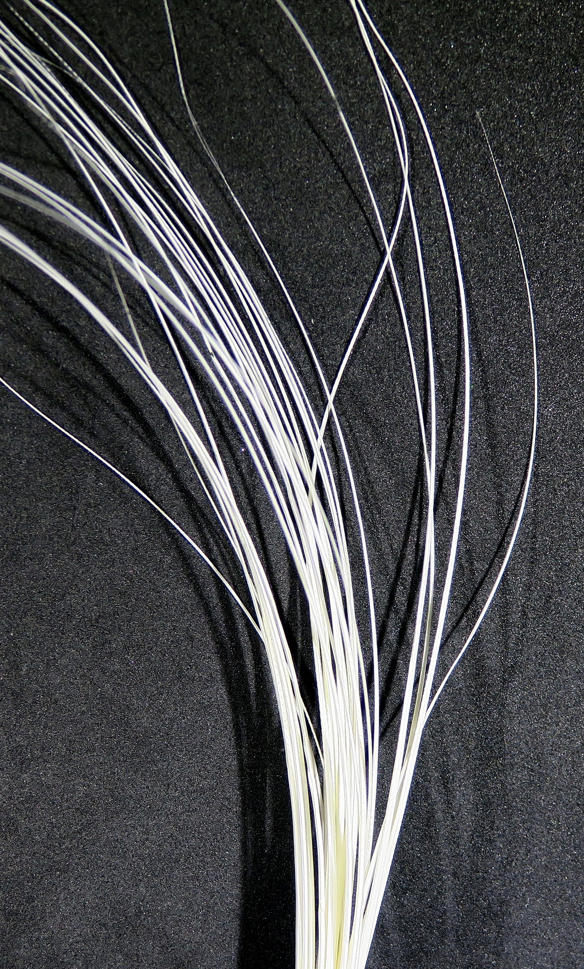 D's Flyes Quill Body