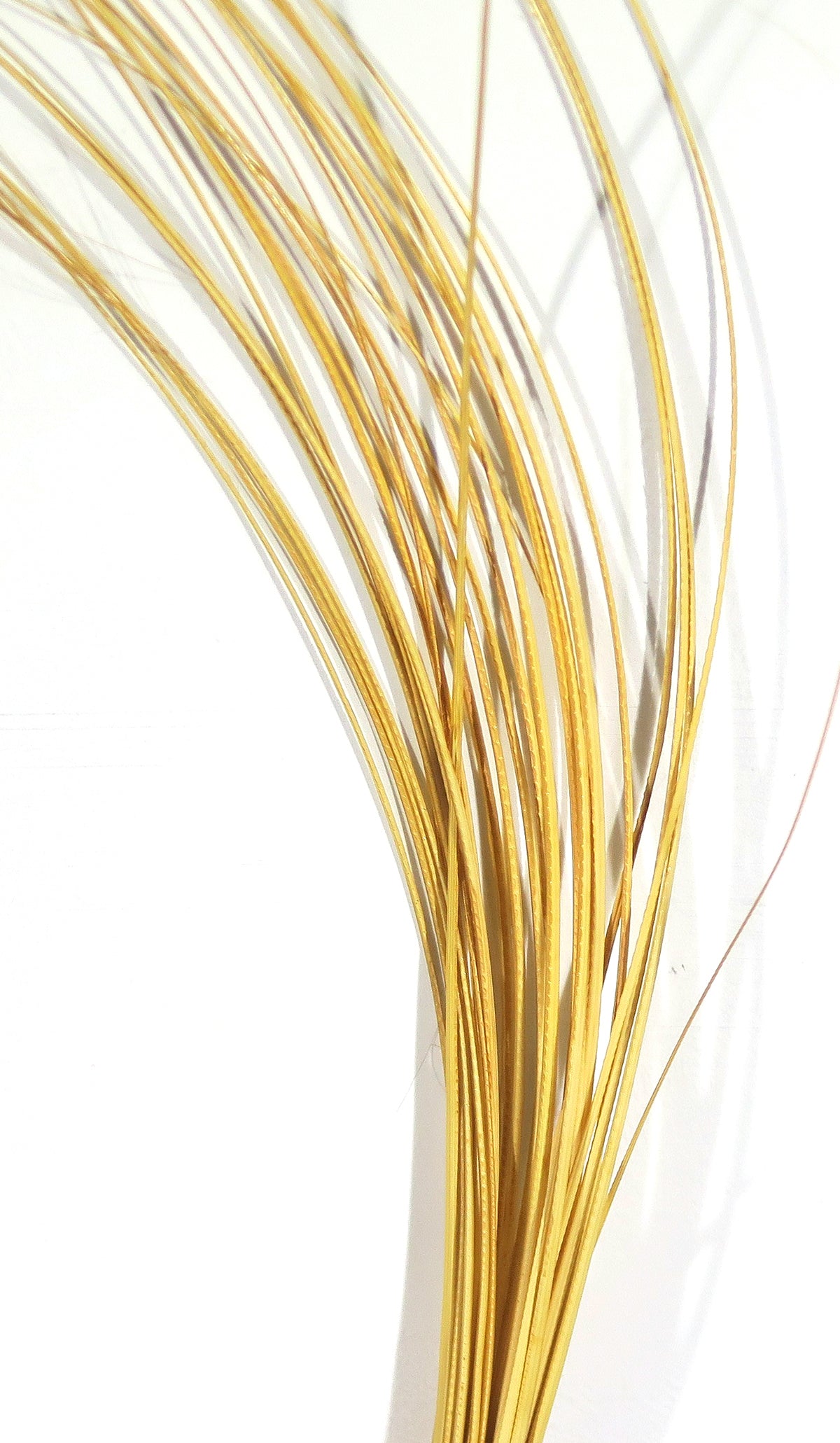 D's Flyes Quill Body