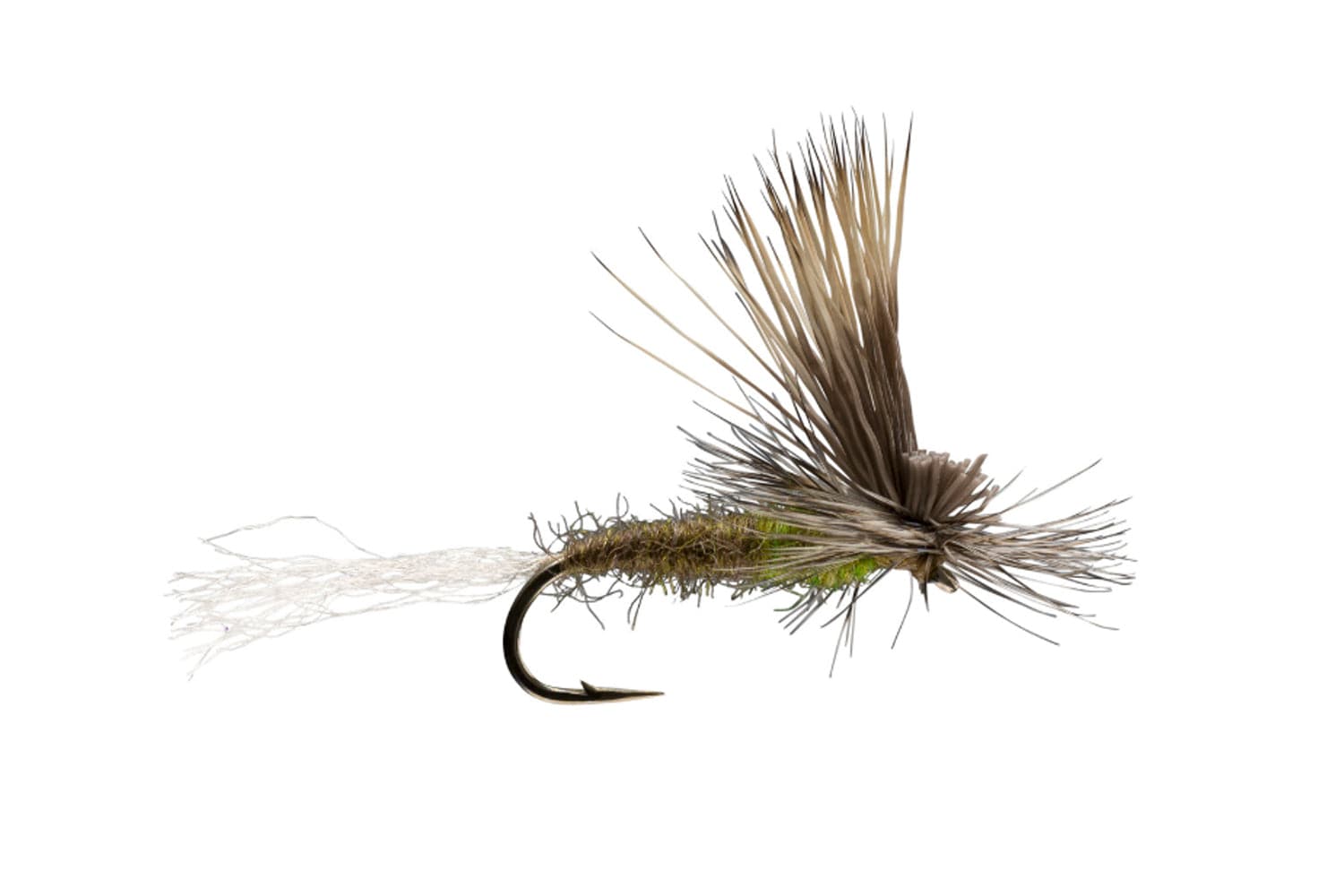 E/C Caddis Fly