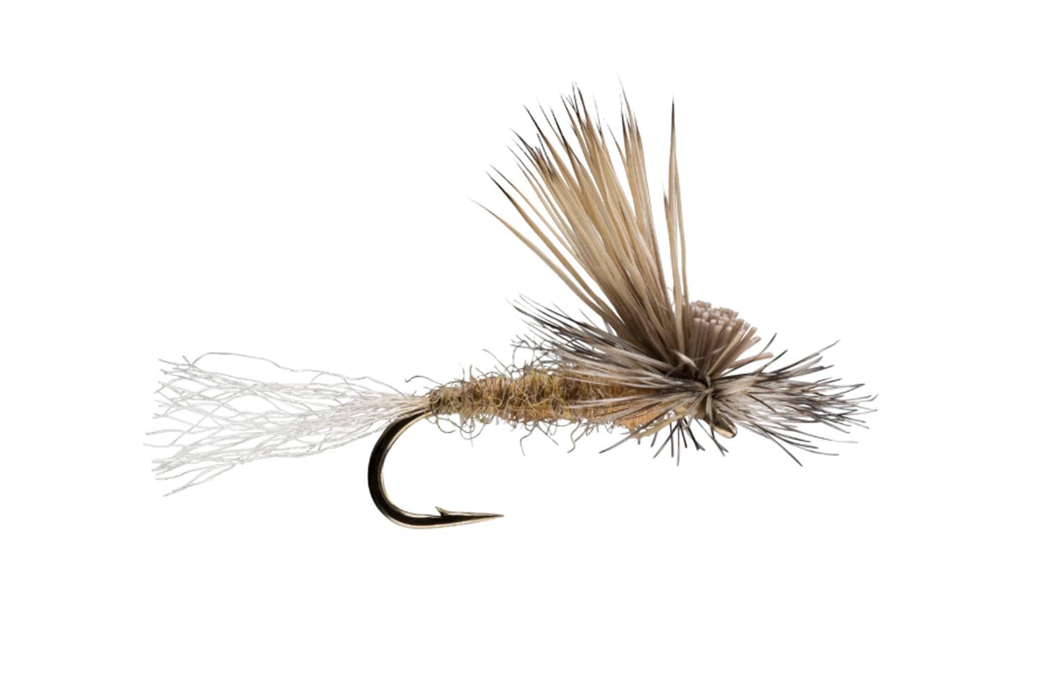 E/C Caddis Fly