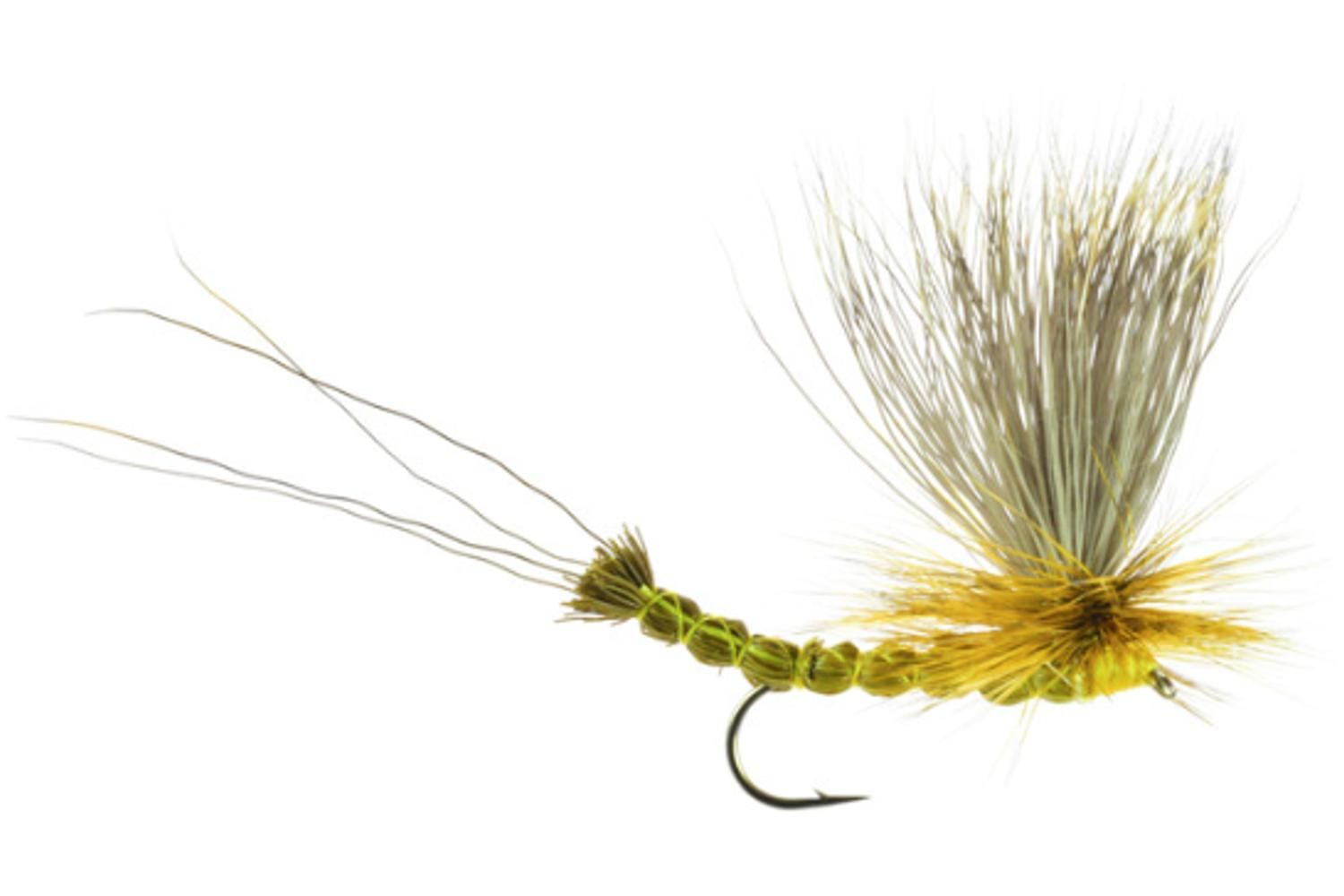 Hex Paradrake Fly
