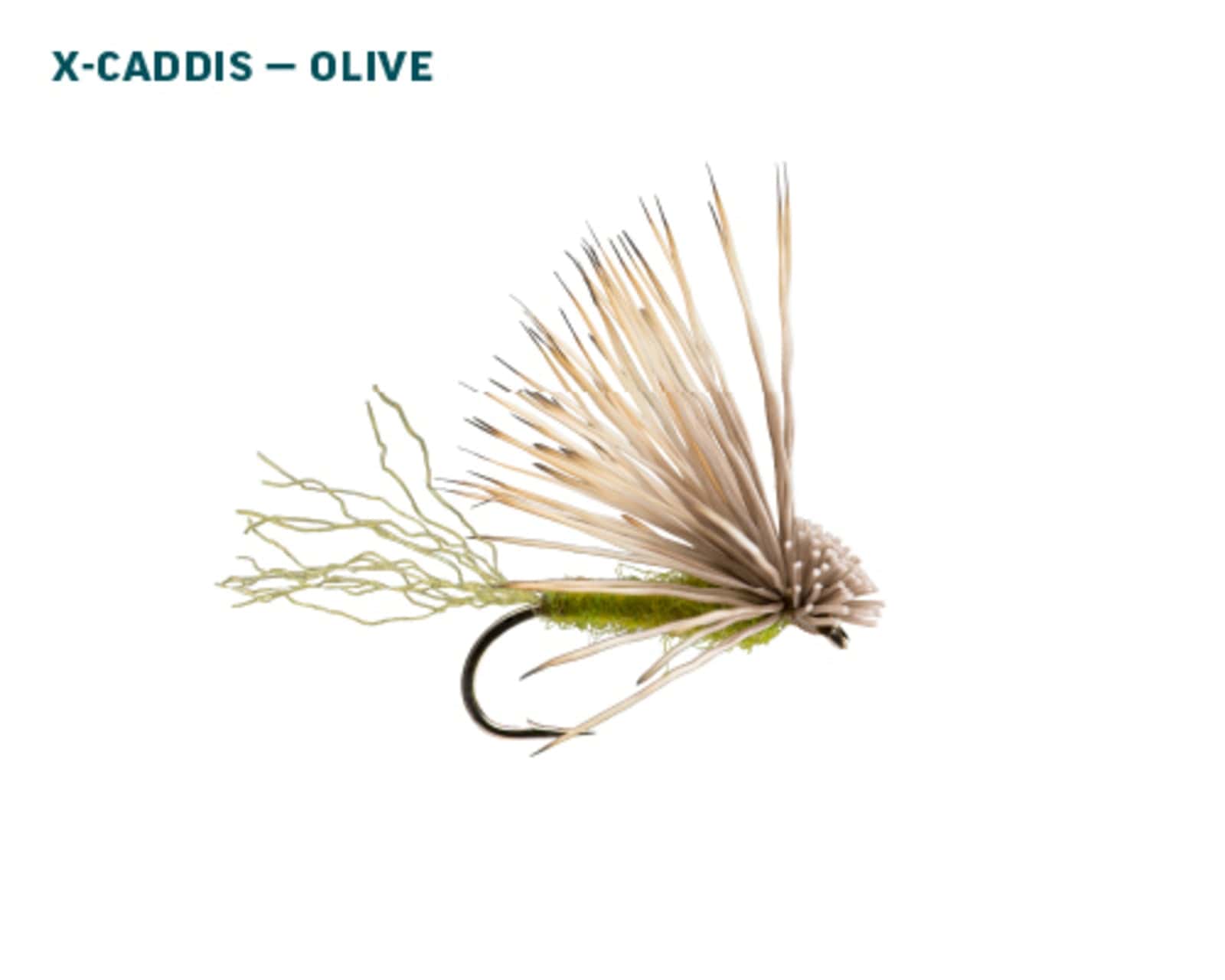 Rio Olive Caddis Dry Fly Assortment