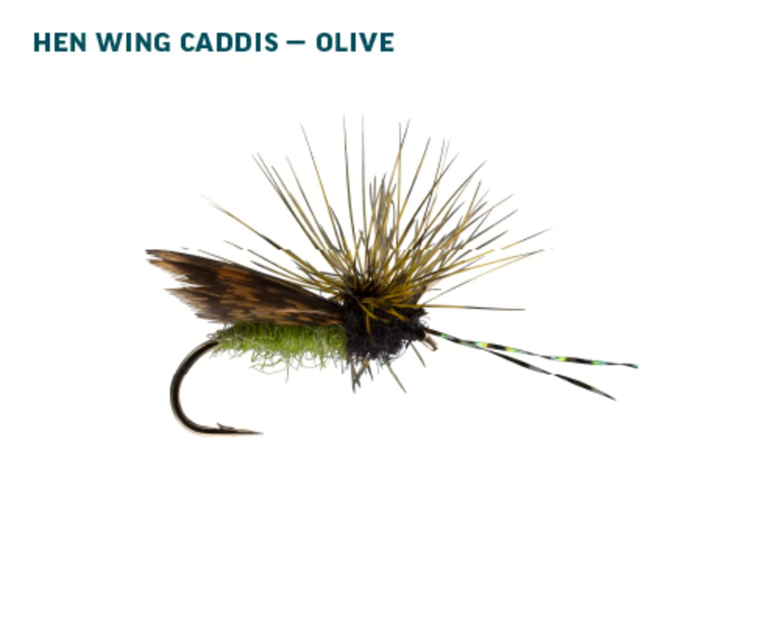 Rio Olive Caddis Dry Fly Assortment