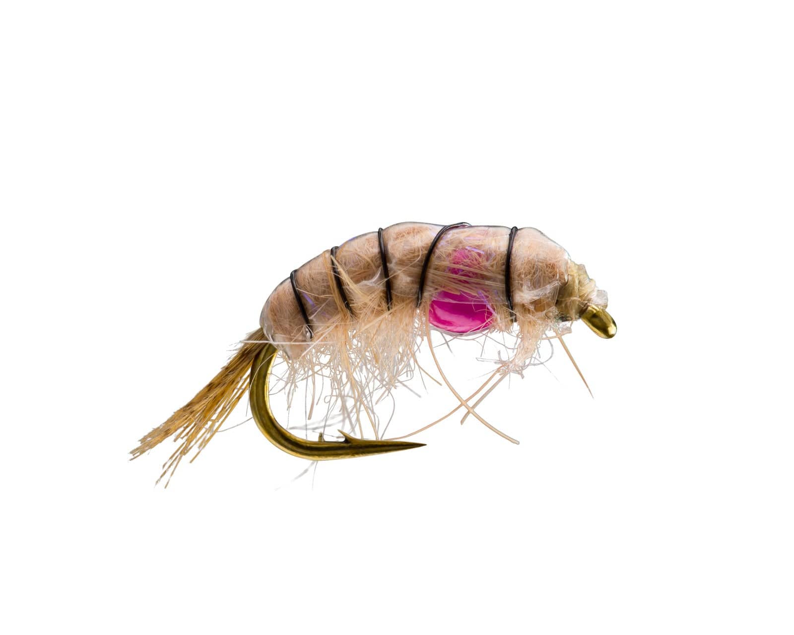 Rio Trout Stillwater Fly Assortment