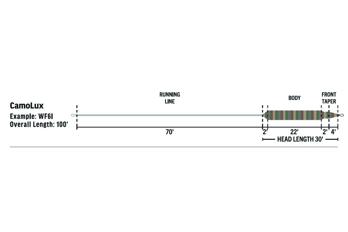 Rio Camolux fly line diagram with pale green running line, camo-striped body and tapered head labeled lengths