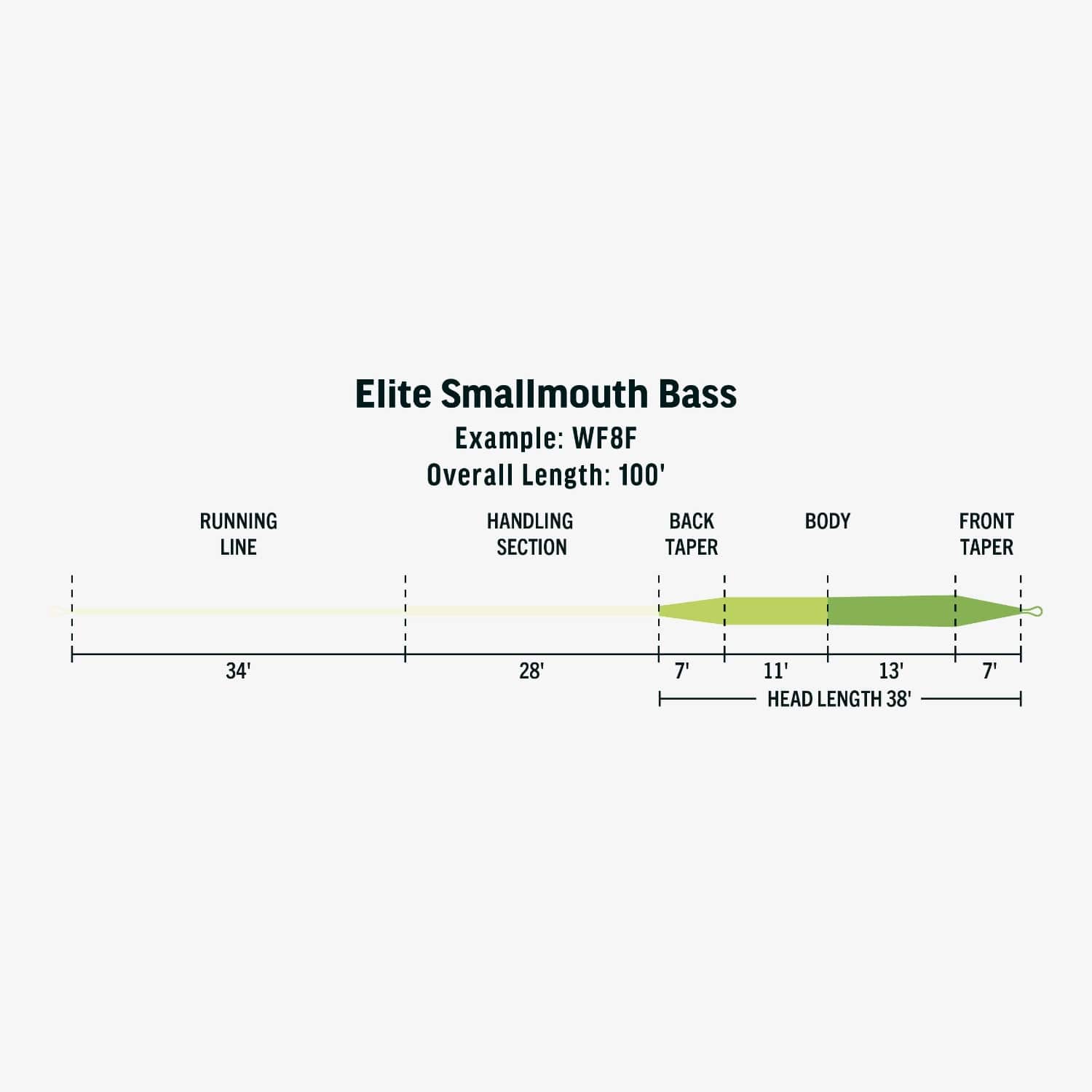 Rio Elite Smallmouth Bass Fly Line