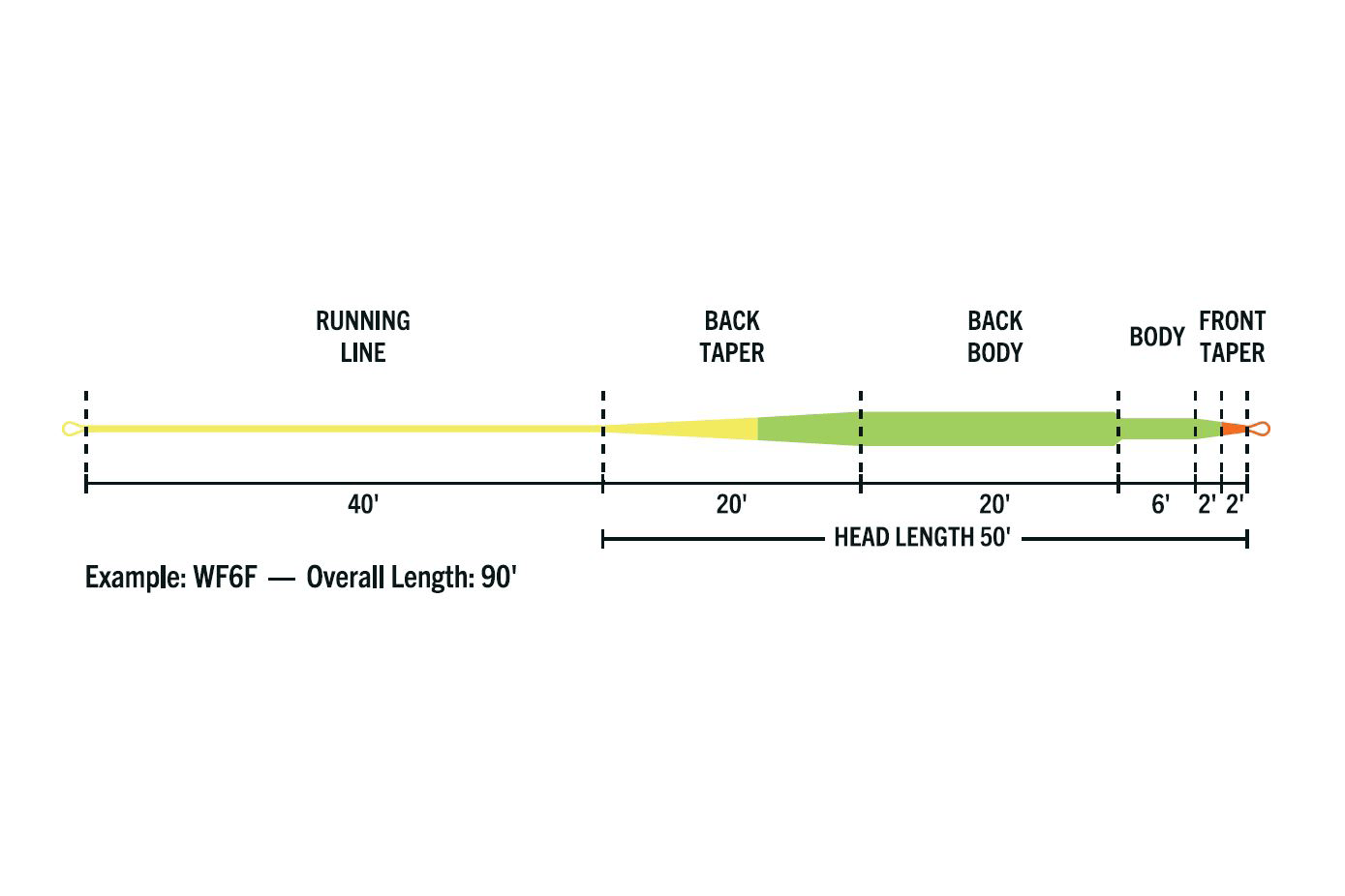 Rio Elite Stillwater floater fly line diagram showing yellow running line, green tapered body and orange front loop