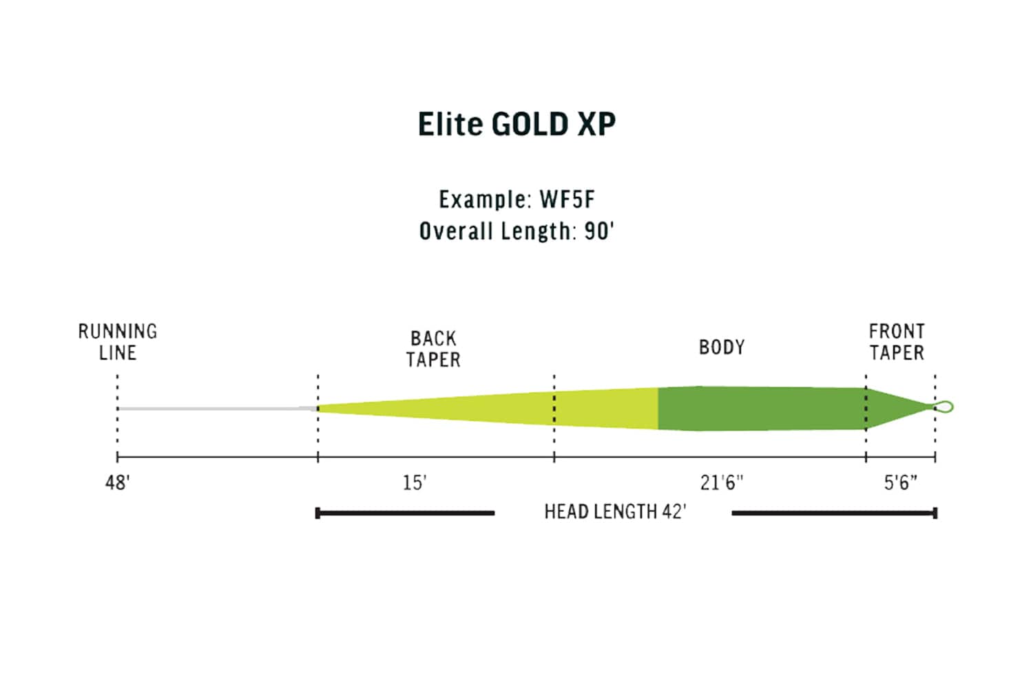 Rio Gold XP Elite Fly Line