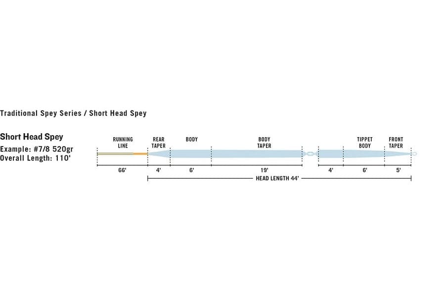Rio InTouch Short Head Spey fly line showing light blue tapered sections labeled running line, body, tippet and lengths