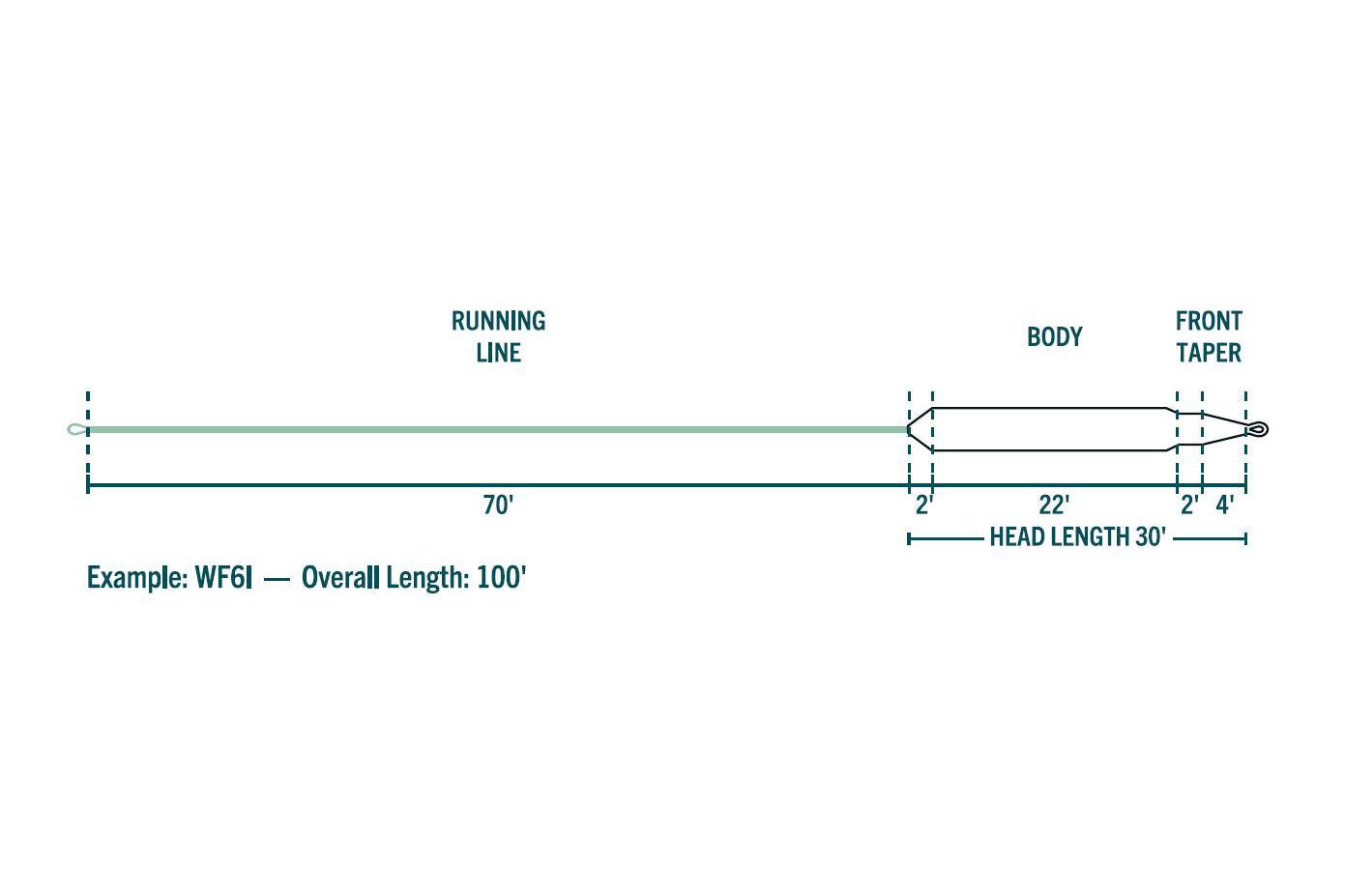 Rio Aqualux fly line diagram showing light teal running line (70'), 30' head with 22' body and 4' front taper