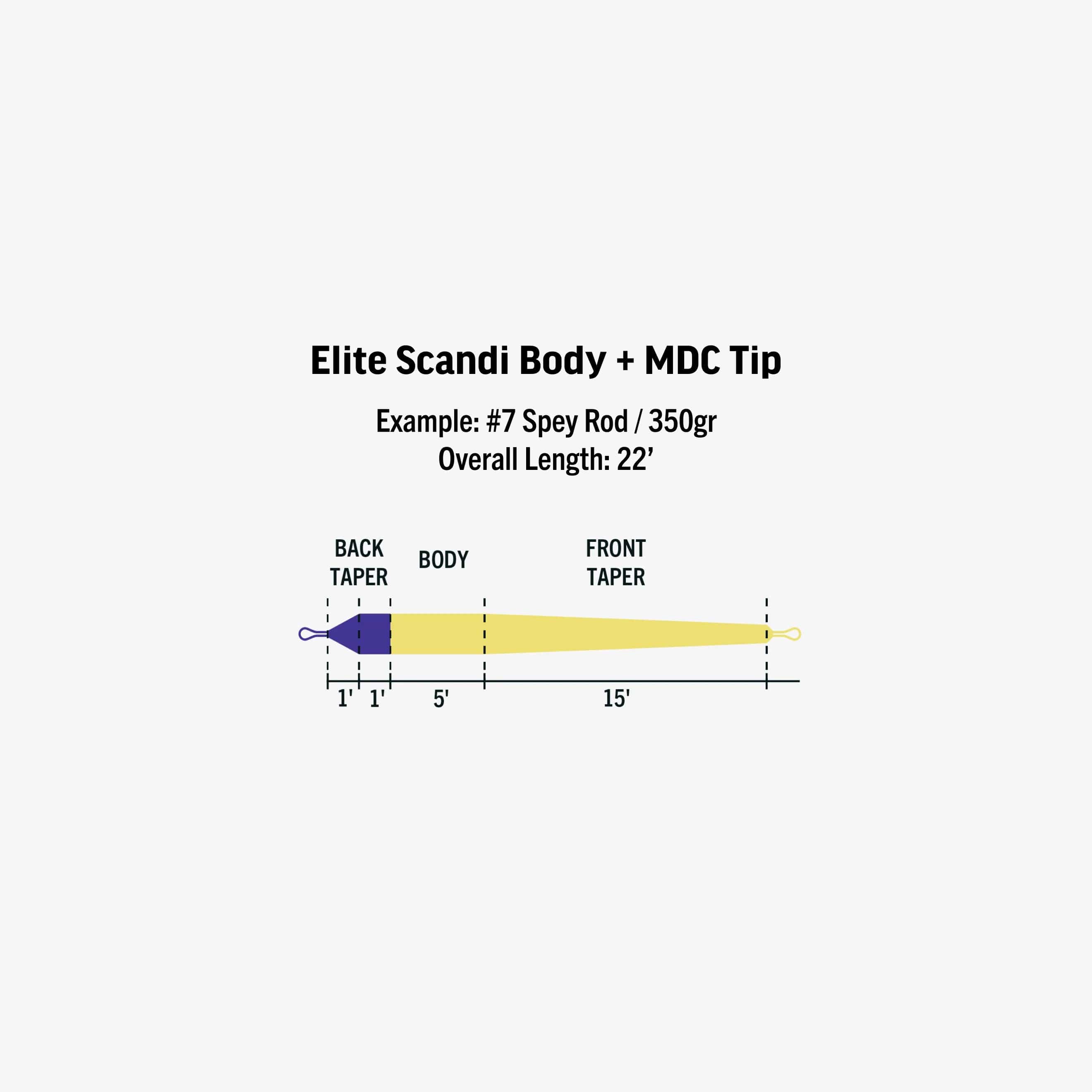 Rio Scandi Body Shooting Head