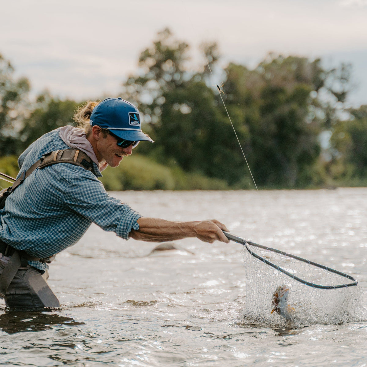 Rising Brookie Net Package