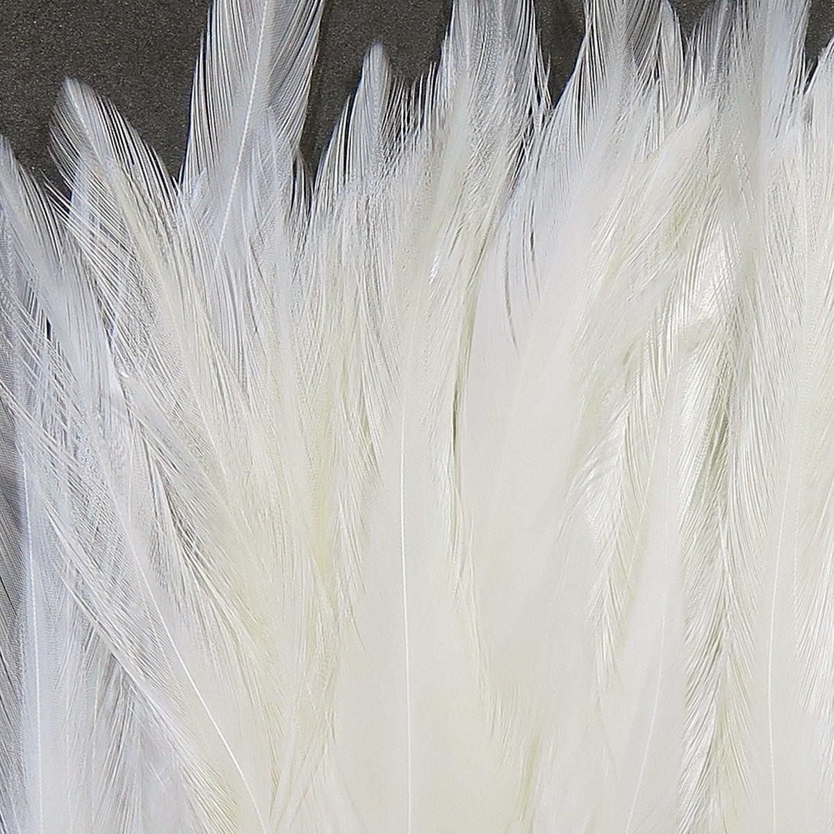 Hareline Strung Saddle Hackle