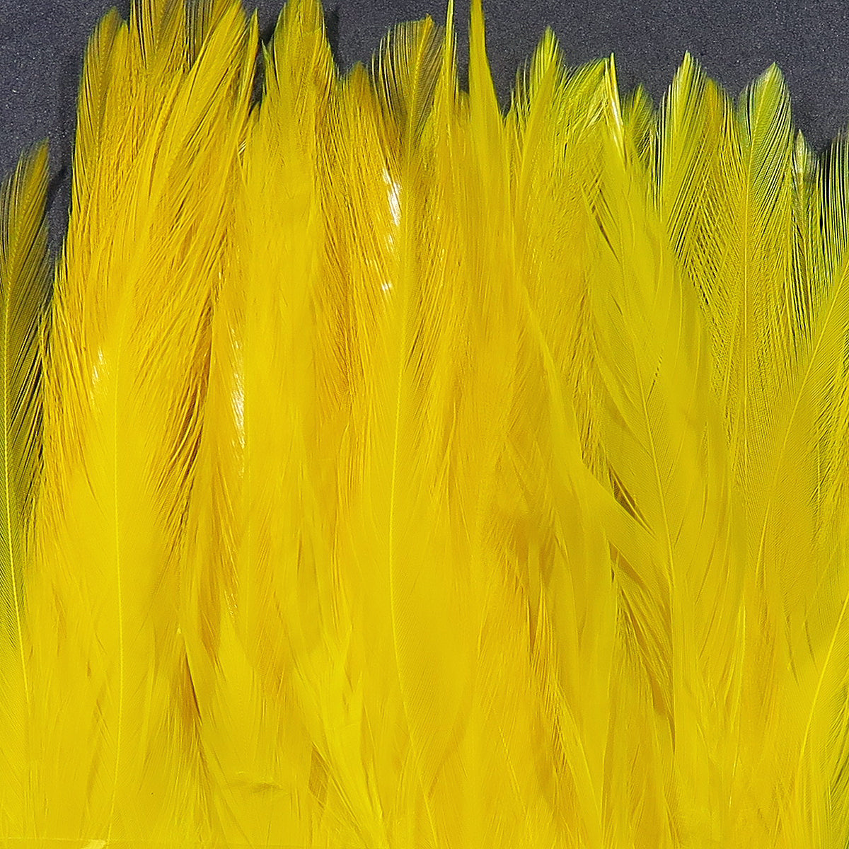 Hareline Strung Saddle Hackle