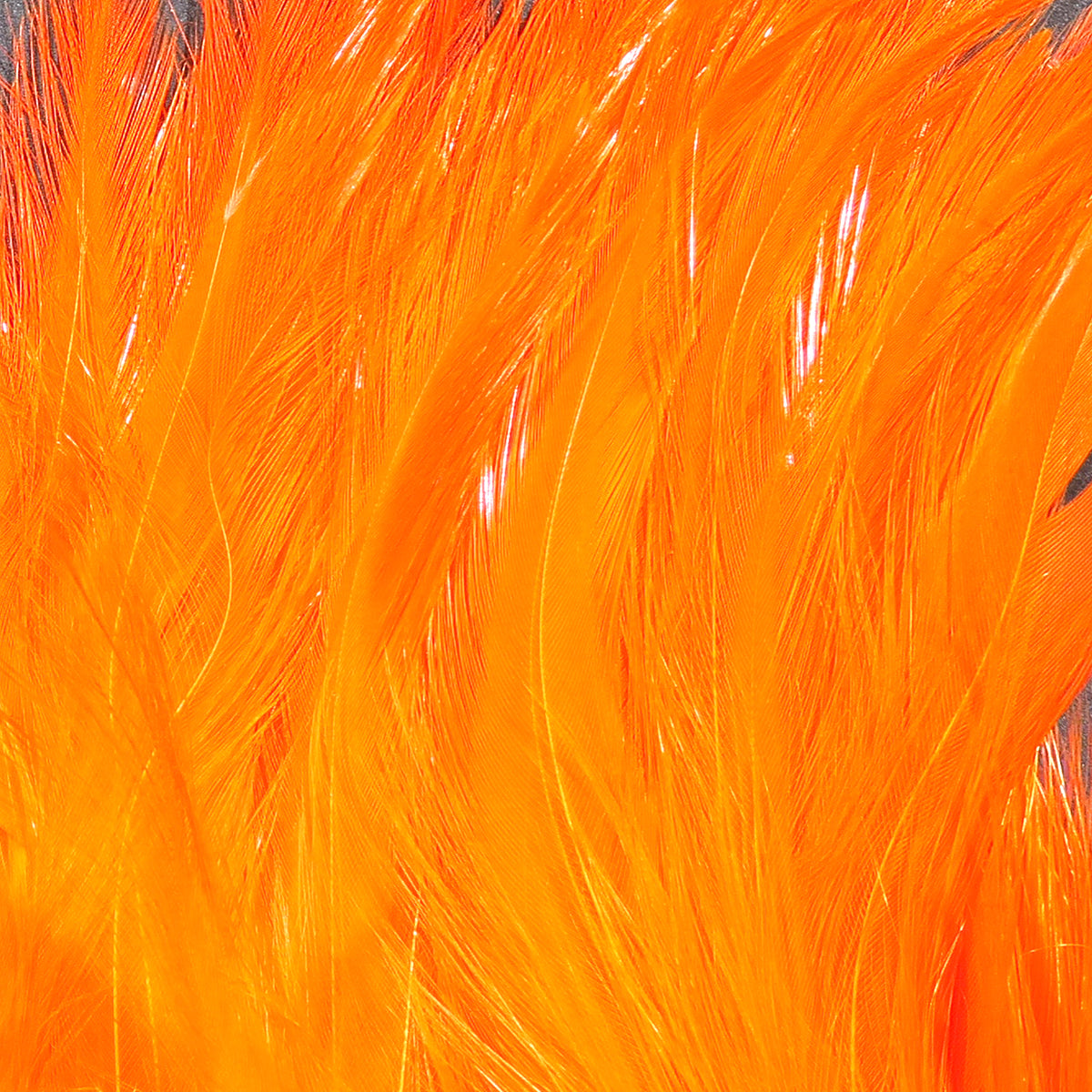 Hareline Saltwater Neck Hackle