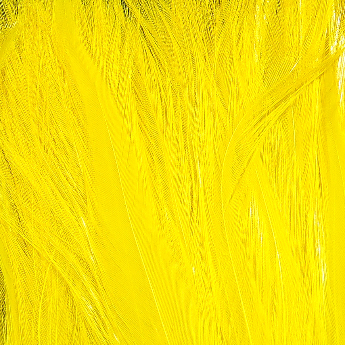 Hareline Saltwater Neck Hackle