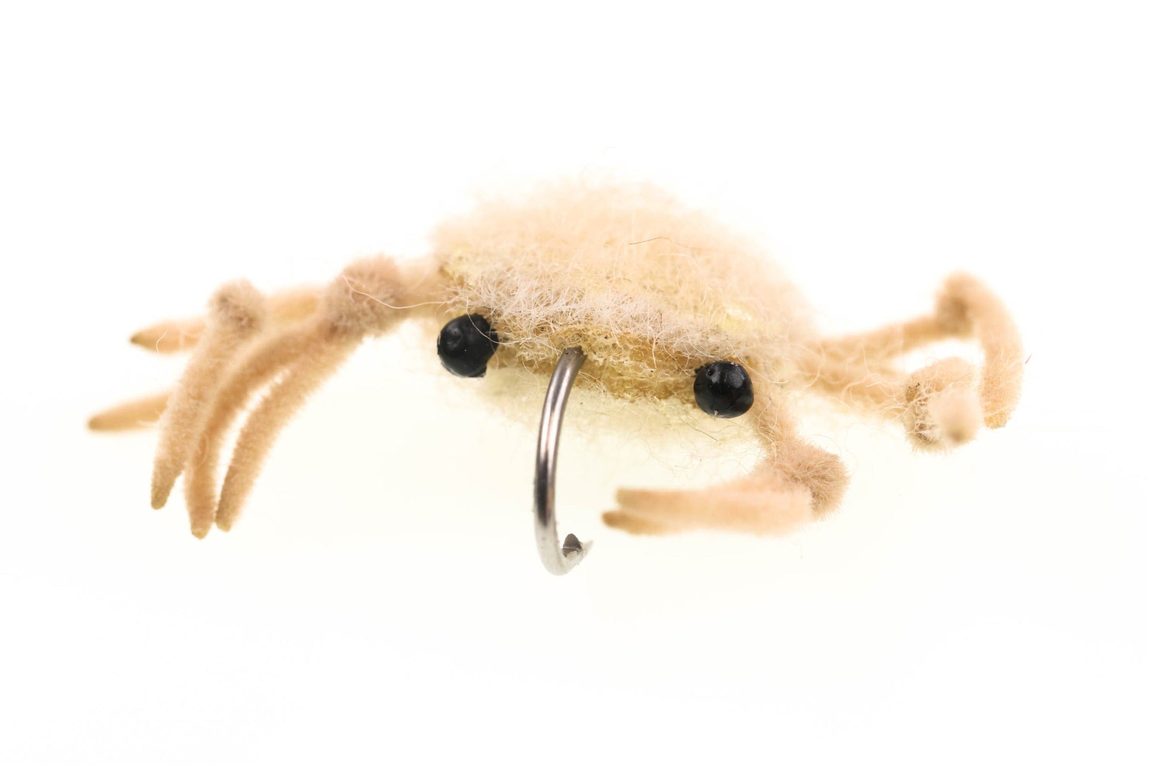 Money Crab Fly