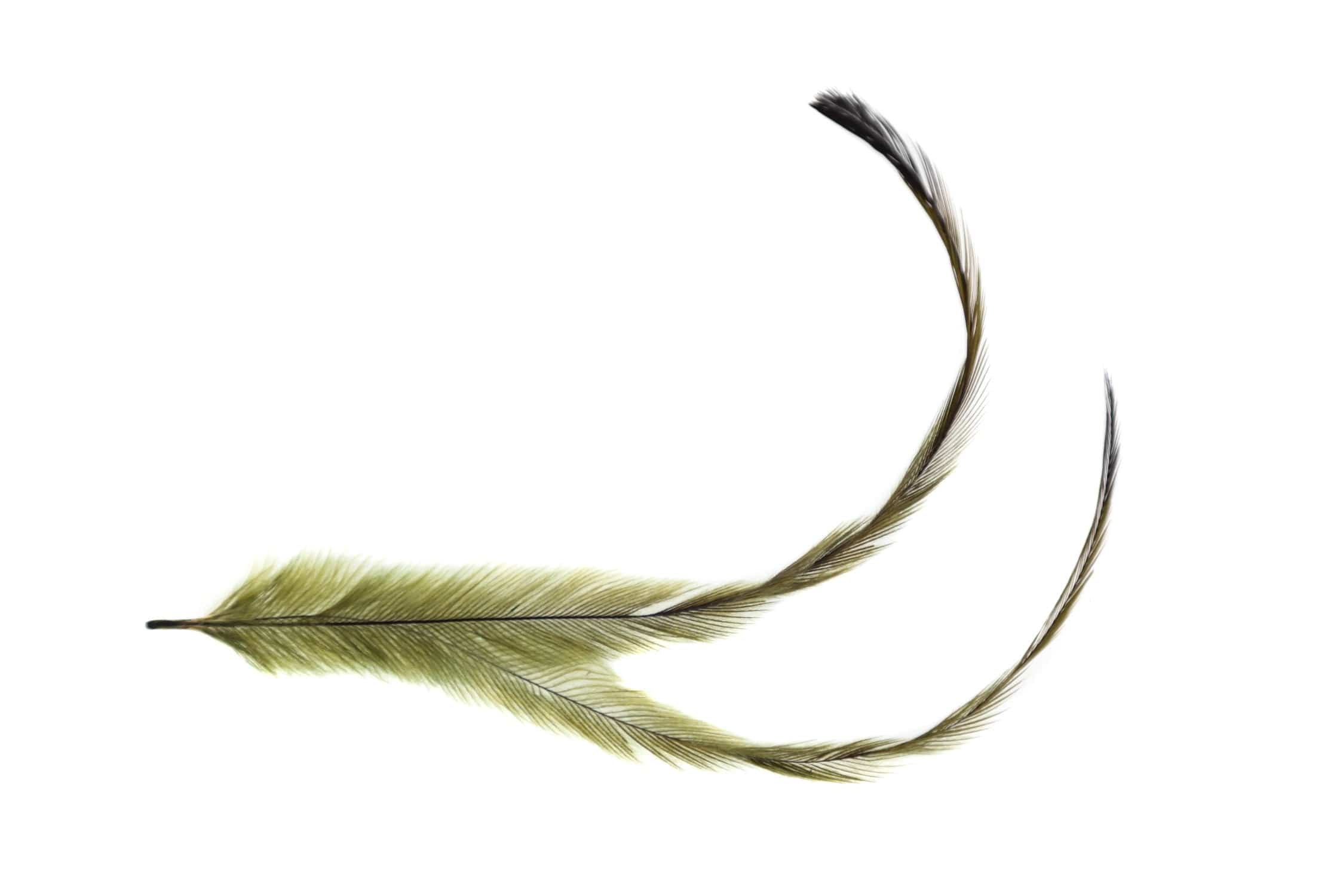 Spirit River UV2 Emu Feathers
