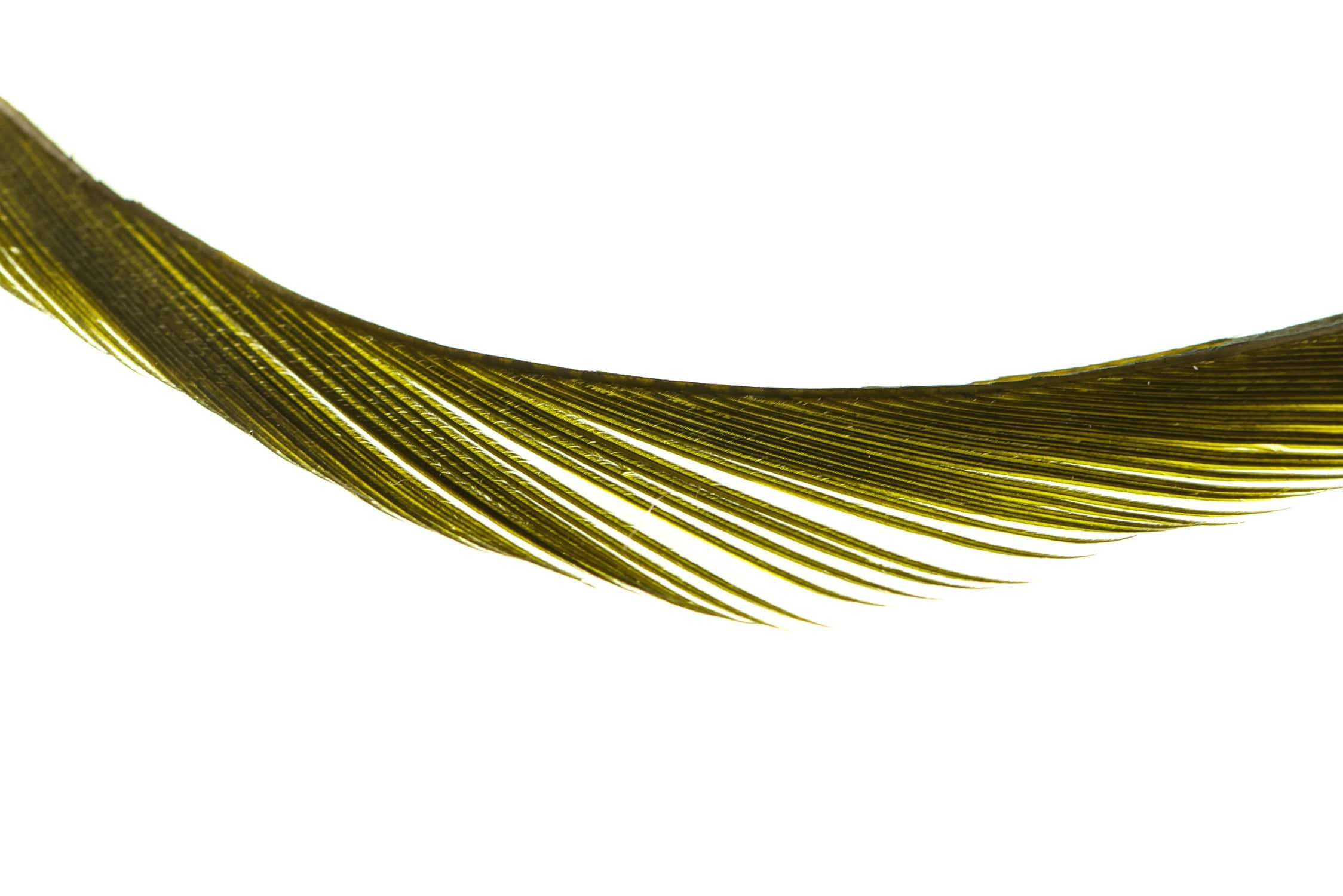 Spirit River UV2 Goose Biots