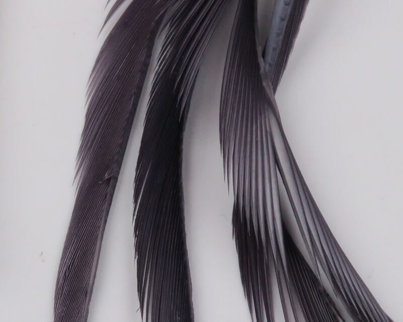 Spirit River UV2 Goose Biots