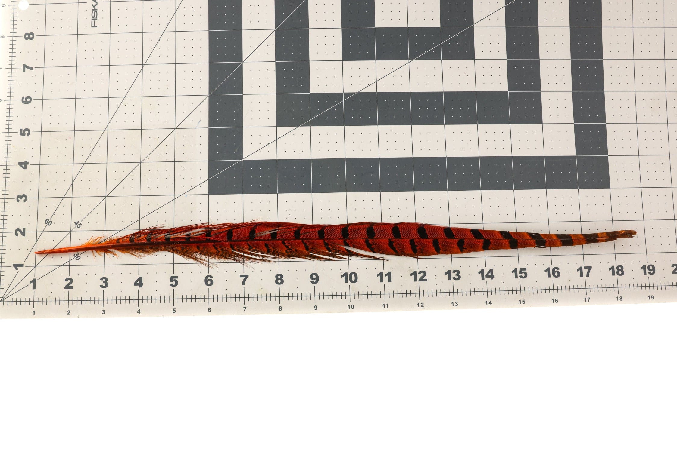 Spirit River UV2 Ringneck Pheasant Tail