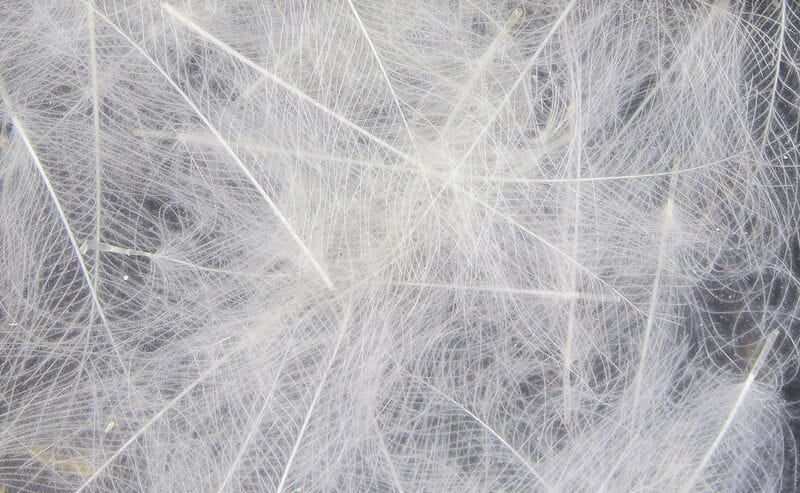 Spirit River UV2 Select CDC Feathers