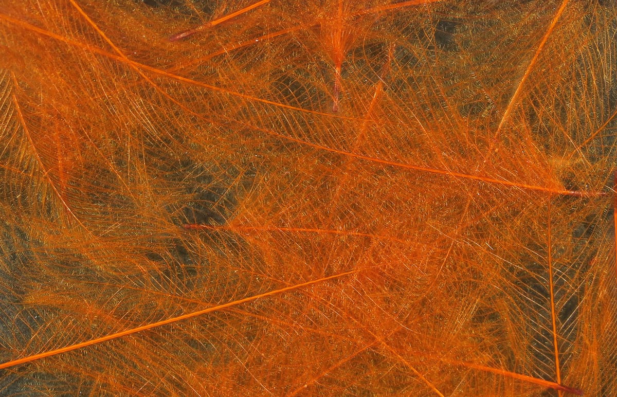 Spirit River UV2 Select CDC Feathers