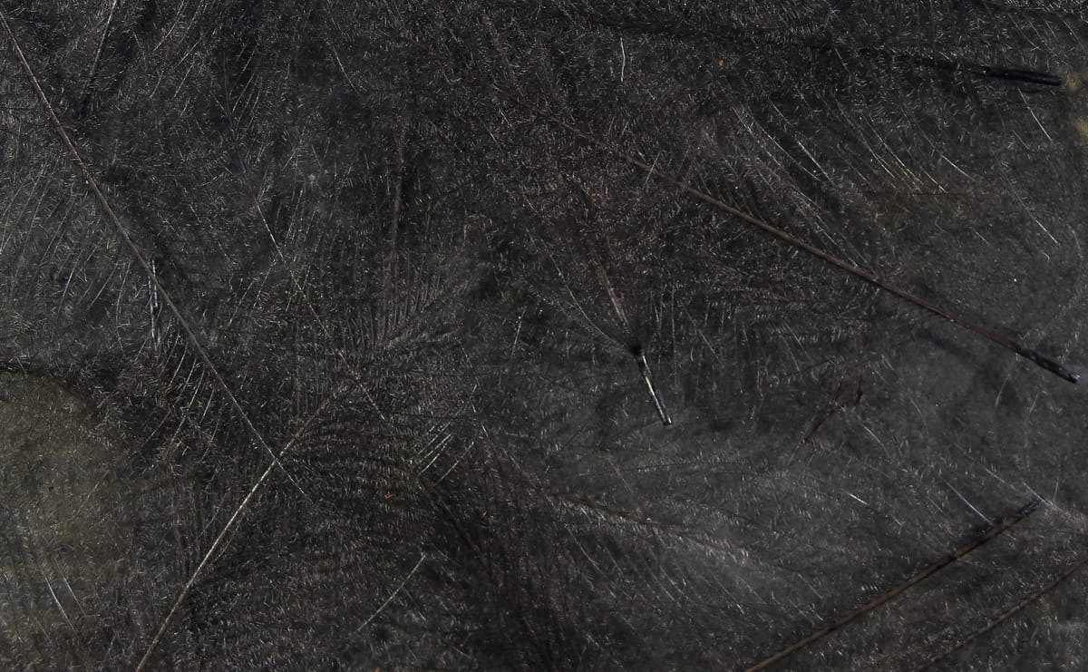 Spirit River UV2 Select CDC Feathers