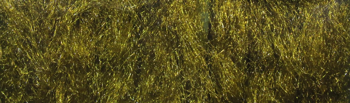 Spirit River UV2 Sparkle Yarn