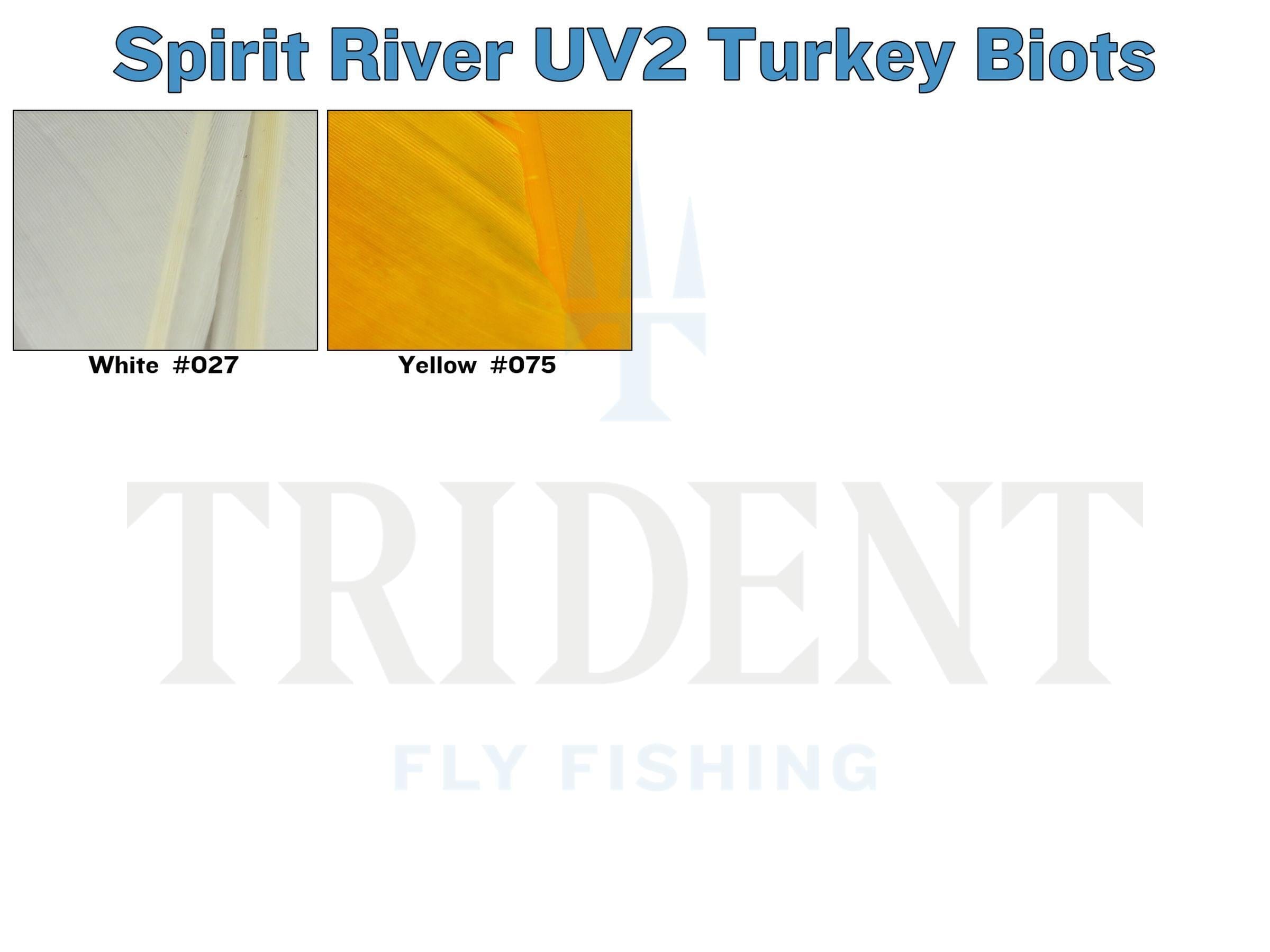 Spirit River UV2 Turkey Biots