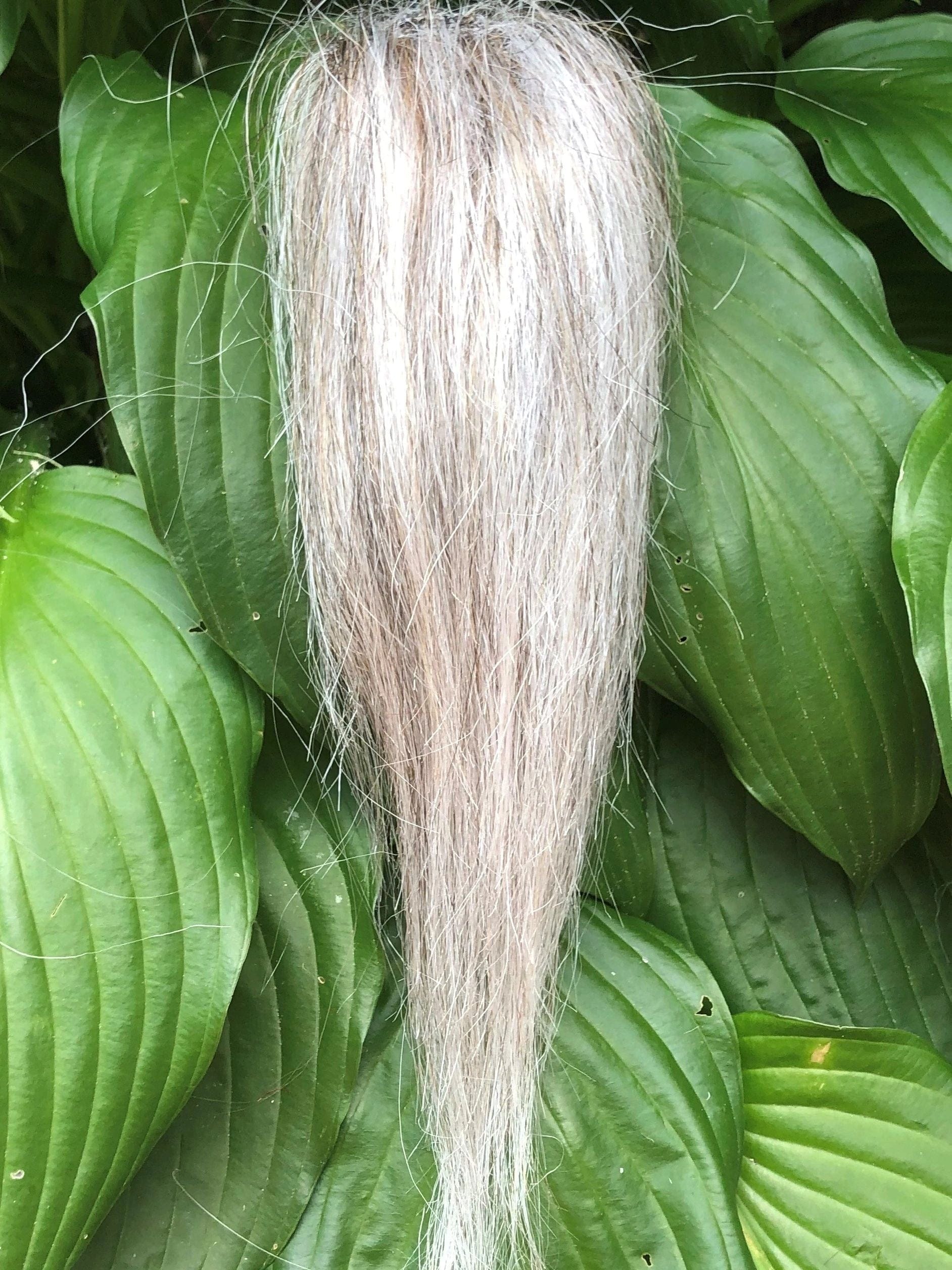 Squimpish Hair Synthetic Fly Tying Material