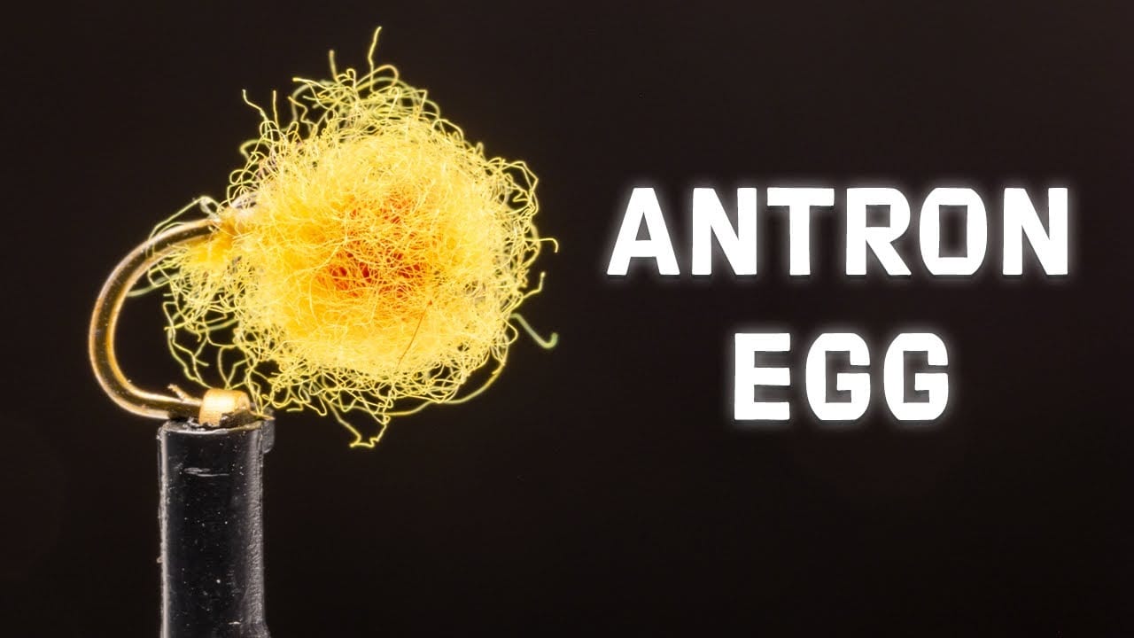 Antron Egg Fly Tying Video Material Kit
