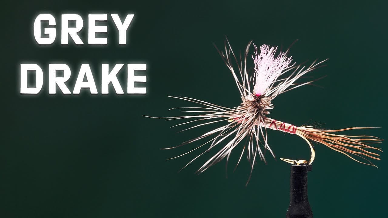 Grey Drake Spinner Dry Fly Tying Video Material Kit