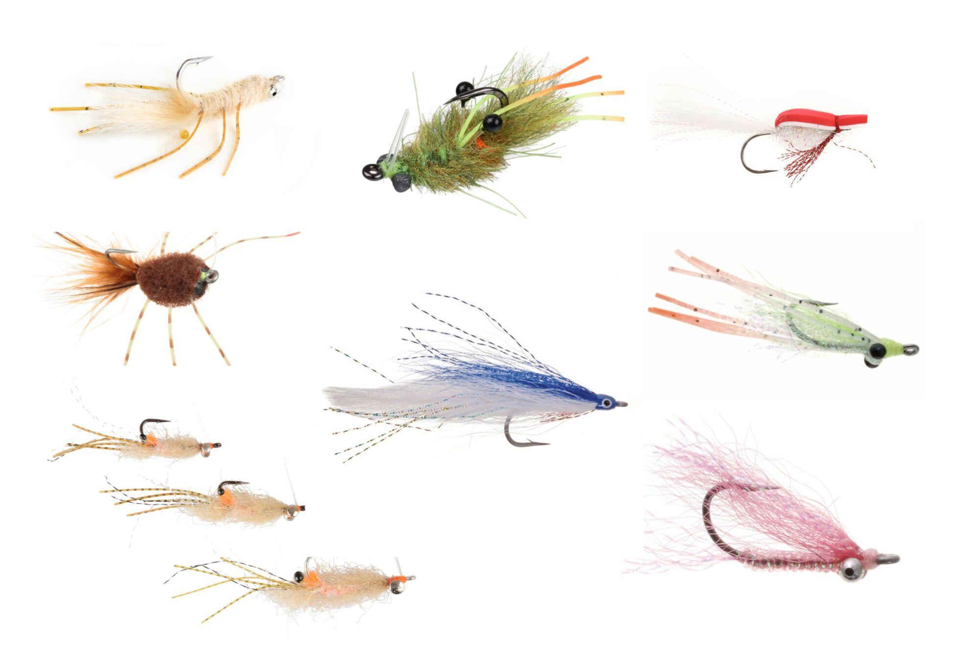 Palometa Club Lodge Fly Selection