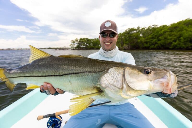 Belize Fly Selection